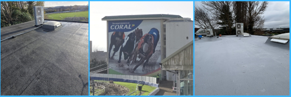 Case study images for dog tracks