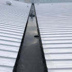 Graphene enhanced metal roof coating