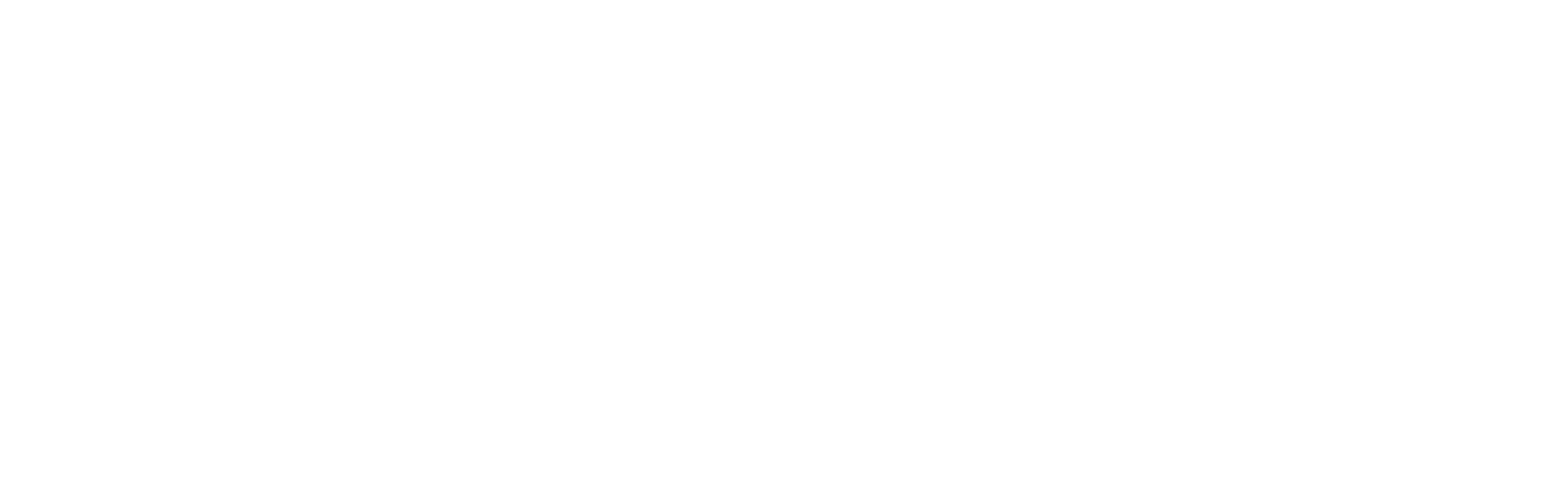 logo-White