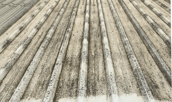 corroded metal roof